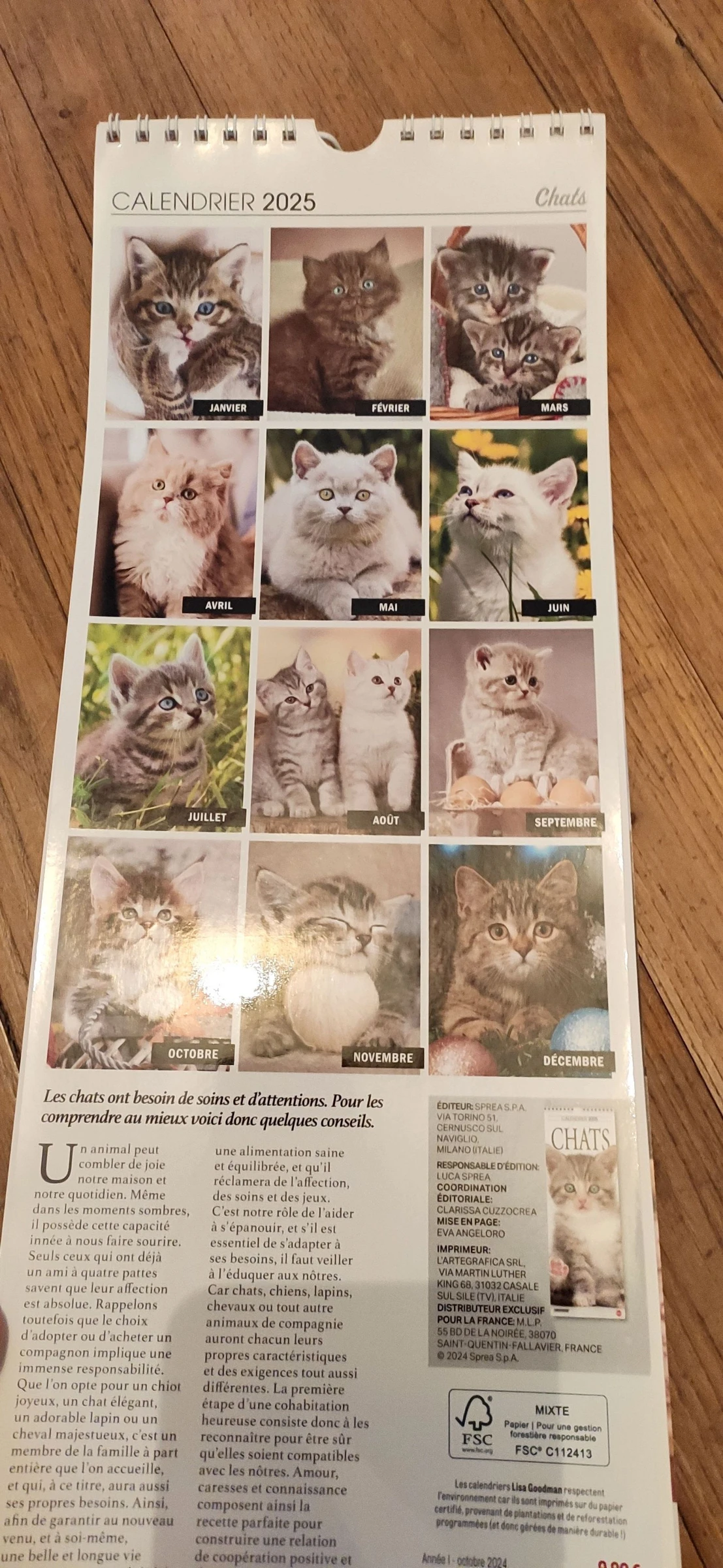 Set kattenkalenders – photo 3